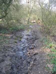 The Long, Long Road to Hever Castle