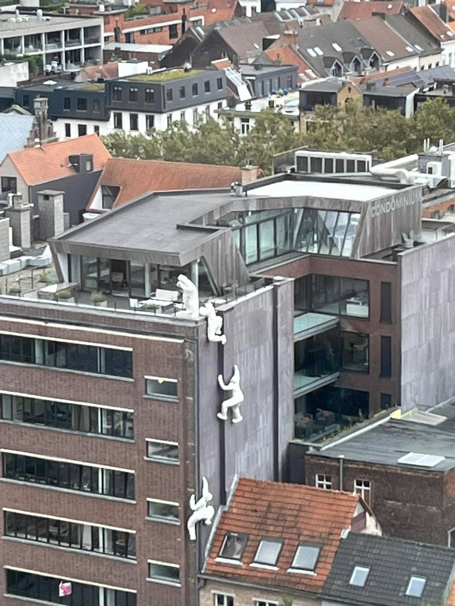 The Whisperers of Antwerp
