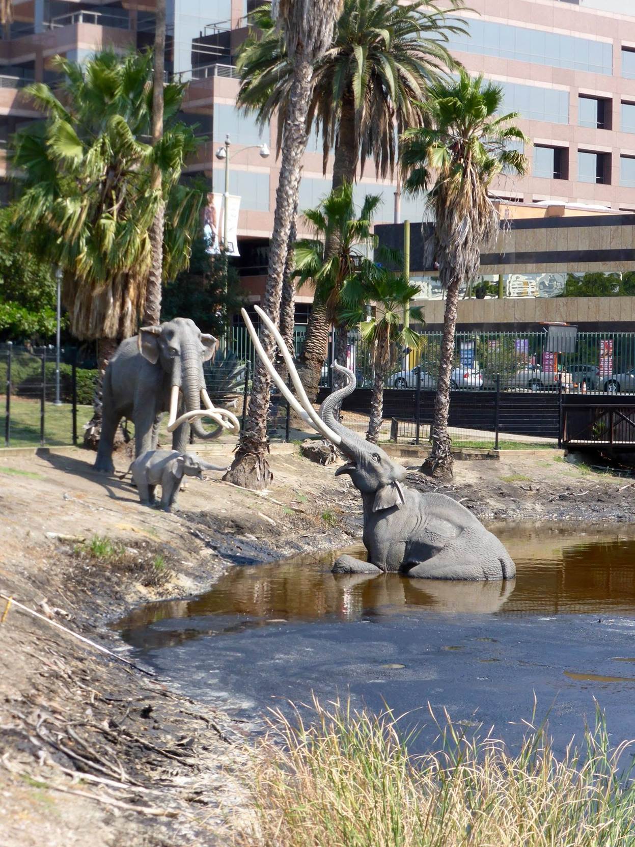 La Brea Tar Pits