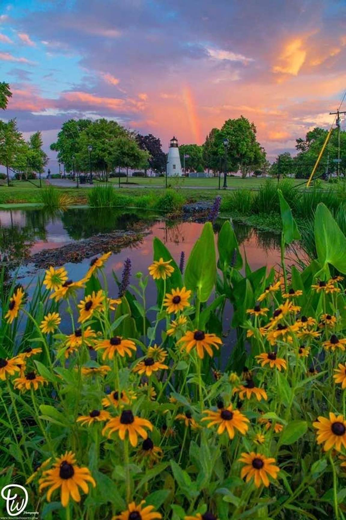 Marvelous Maryland