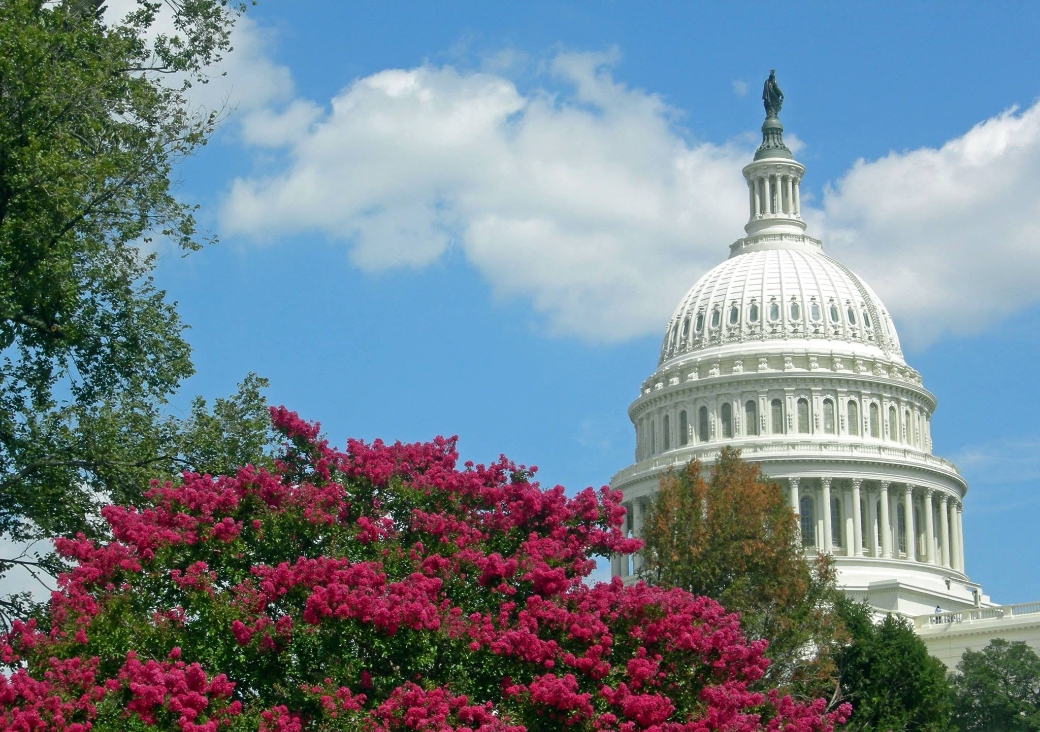 Best Way to Visit the U.S. Capitol