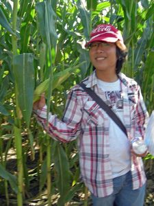Lathrop Corn Maze